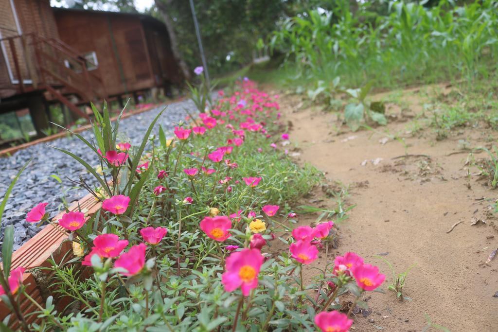 Spirit Garden Ecolodge Cat Tien Kültér fotó