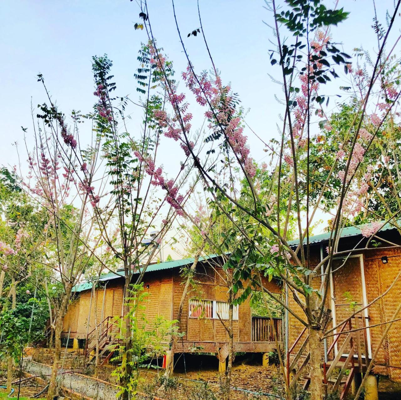 Spirit Garden Ecolodge Cat Tien Kültér fotó